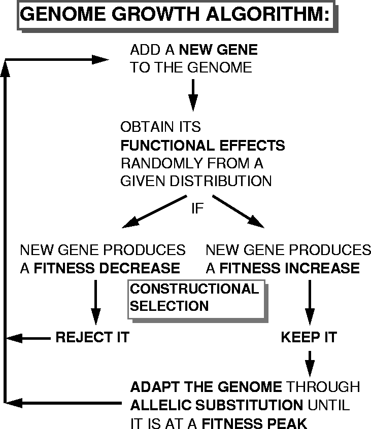 \begin{figure}\epsffile{EPS/GrowthAlgorithm.eps}\end{figure}