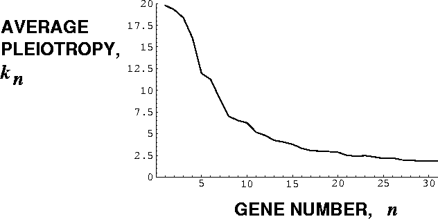 \begin{figure}\epsffile{EPS/NKAvgPleio.eps}\end{figure}