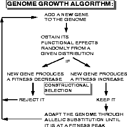 \begin{figure}\epsfxsize= 6cm %
\epsfysize= 6cm %
\epsffile{EPS/GrowthAlgorithm.eps}\end{figure}