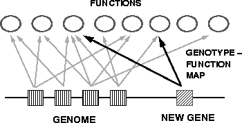 \begin{figure}\epsfxsize= 8.1cm%
\epsffile{EPS/NKModel.eps}\end{figure}