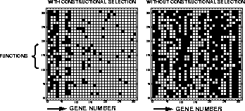 \begin{figure}\epsfxsize= 8.1cm%
\epsffile{EPS/NKMaps.eps}\end{figure}